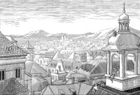 The Far Roofs - B-Ware