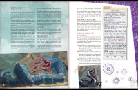 The Laundry RPG - Supervisors Guide