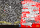 CY_BORG - P!LLS FVLL of GODS Rehumanized