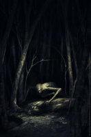 The Darkest Woods